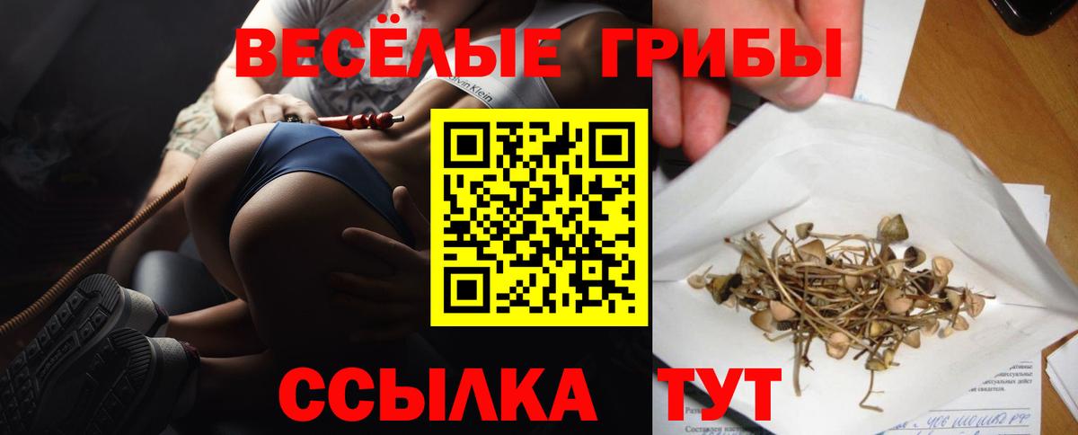 Псилоцибиновые грибы GOLDEN TEACHER  Галлюциногенные грибы ЛСД  Балтийск  Вход с VPN 